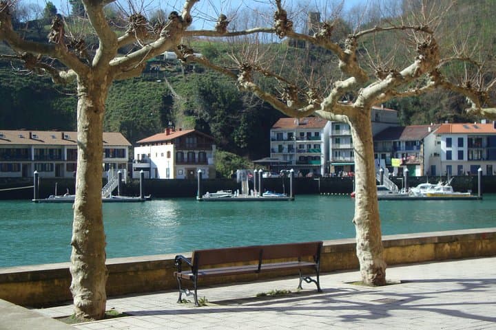 Coastal Hike from San Sebastián to Pasaia: Mount Ulia Trail and Harbor Crossing photo 3