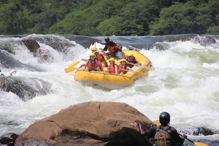 Uganda Gorillas and Game Safari: 10-Day Wildlife, Rafting & Gorilla Trek photo 2