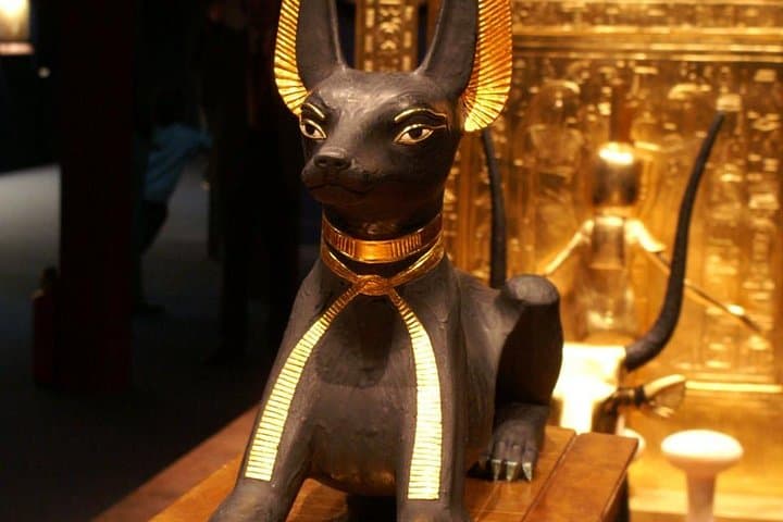 Day Trip to Cairo from Sharm El Sheikh: Pyramids, Sphinx & Egyptian Museum in One Long Day photo 6