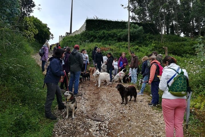 Hidden Trails of Sintra: Guided Hike to Secret Viewpoints photo 3