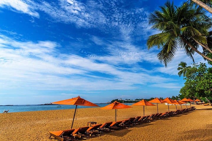Galle Day Tour: Fort, Beaches, River Safari & Turtle Hatchery photo 2