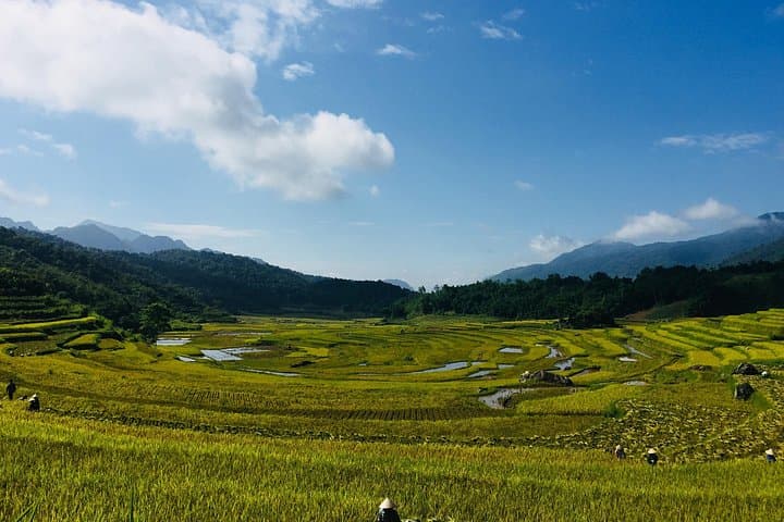 Pu Luong Nature Reserve: 3-Day Trek Through Rice Terraces, Caves & Hieu Waterfall photo 1