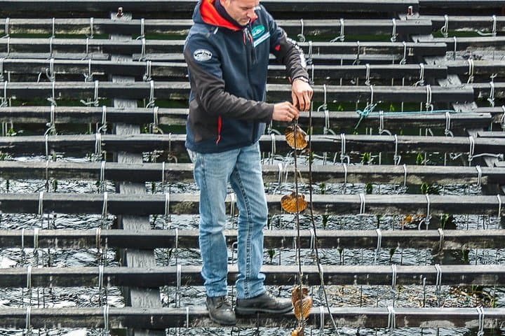 Rías Baixas Private Tour: Mussel Farms, Wine Tasting & La Toja Day Trip