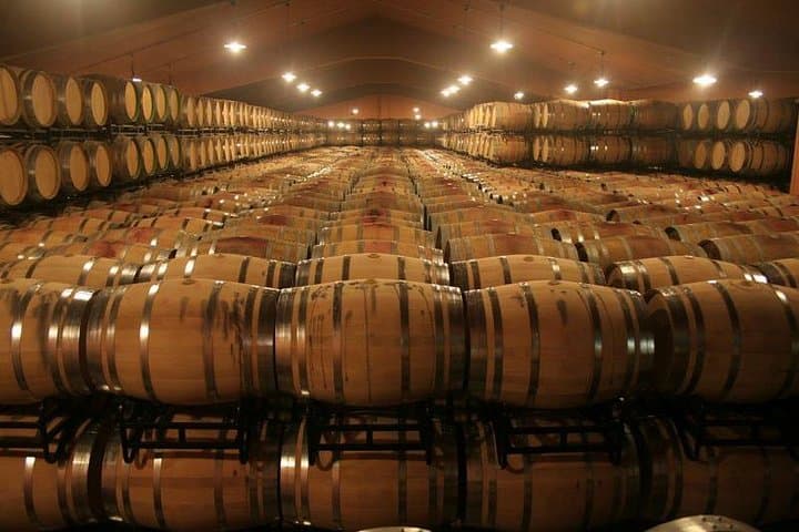 Douro Valley Private Day Tour from Porto: Wine, River Rabelo & Scenic Stops photo 2