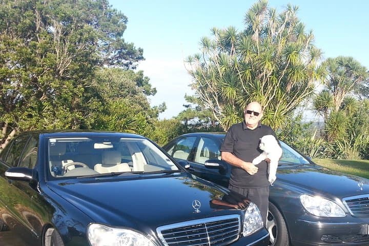 Auckland Airport to City Transfer — Private Mercedes Service with Optional Mini-Tour