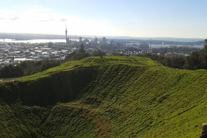 Auckland Airport to City Transfer — Private Mercedes Service with Optional Mini-Tour photo 3