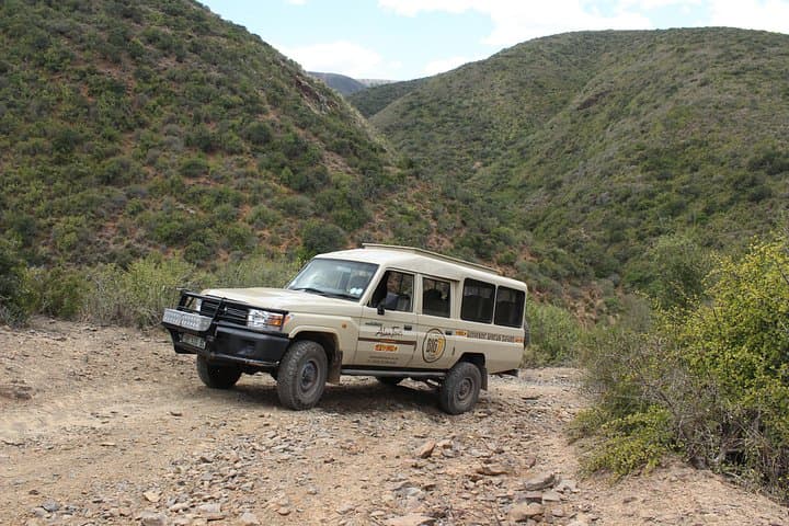 Addo Elephant Kabouga 4x4 Tour Northern Section Wildlife History photo 6
