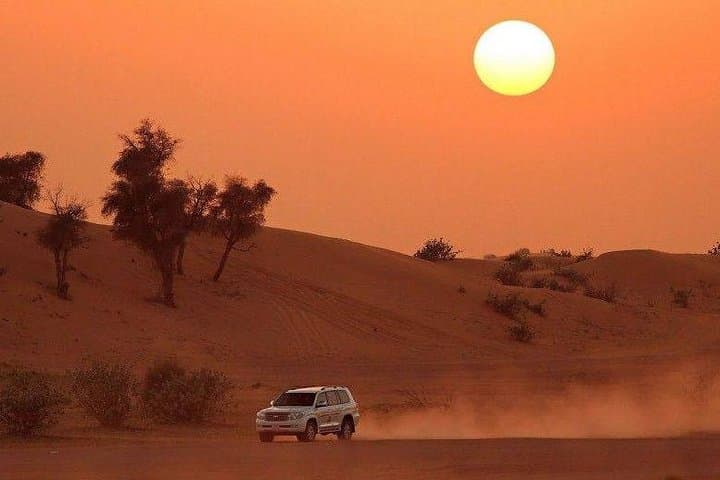 Dubai Evening Desert Safari: Dune Bashing, Camel Rides & Bedouin Camp Experience photo 2