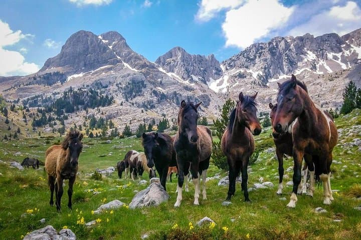 Five-Day Via Dinarica: Hiking the Border Mountains of Bosnia and Herzegovina photo 1