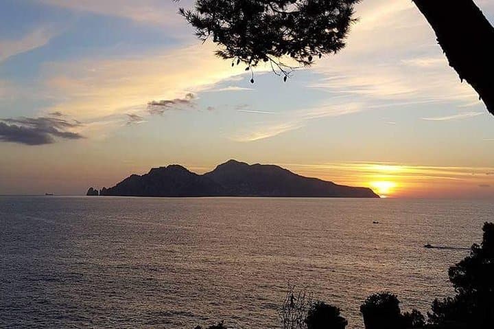 Capri Pass: Sorrento Boat Tour to Capri, Blue Grotto & Faraglioni photo 2