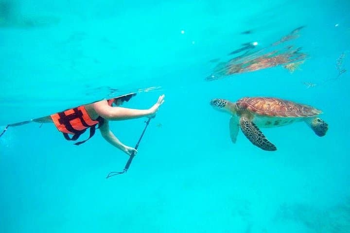Tulum Ruins, Mesoamerican Reef & Cenote Cavern: Private Day Tour from Playa del Carmen photo 3