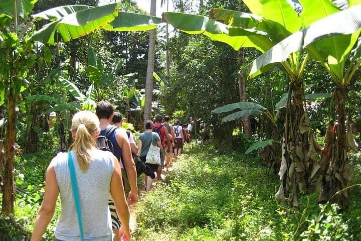 Zanzibar Aromatic Spice Farm Tour: A Sensory Walk Through Cloves, Cinnamon & Vanilla photo 2