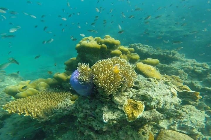 Koh Lanta 4-Island Snorkel Tour & Emerald Cave Speedboat Day Trip photo 1