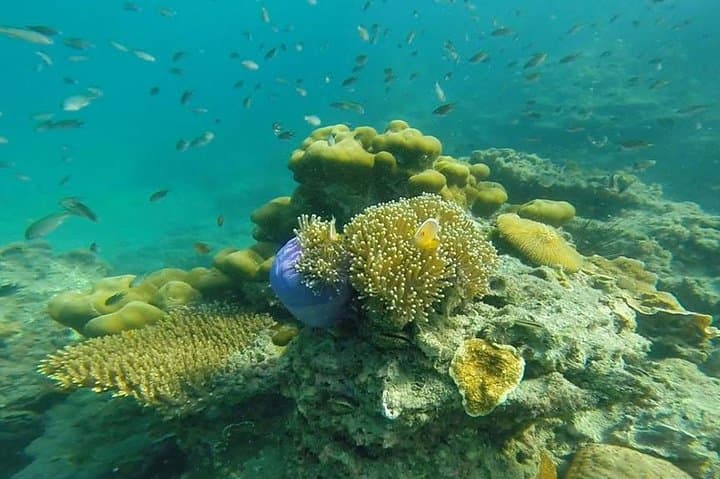 4-Islands & Emerald Cave Day Trip from Koh Lanta — Snorkel, Beaches & Hidden Cavern
