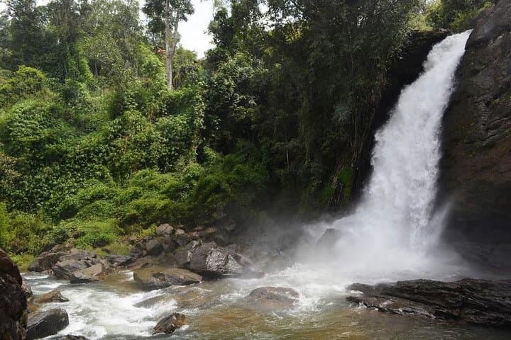 3-Day Wayanad Adventure: Caves, Wildlife & Banasura Sagar Dam photo 3