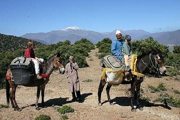 Atlas Mountains Family Day Trip: Berber Villages & Mule Ride from Marrakech photo 1