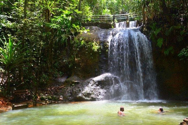 Colo-i-Suva Waterfalls and Nature Tour: Swim, Hike, and Picnic in Fiji Rainforest