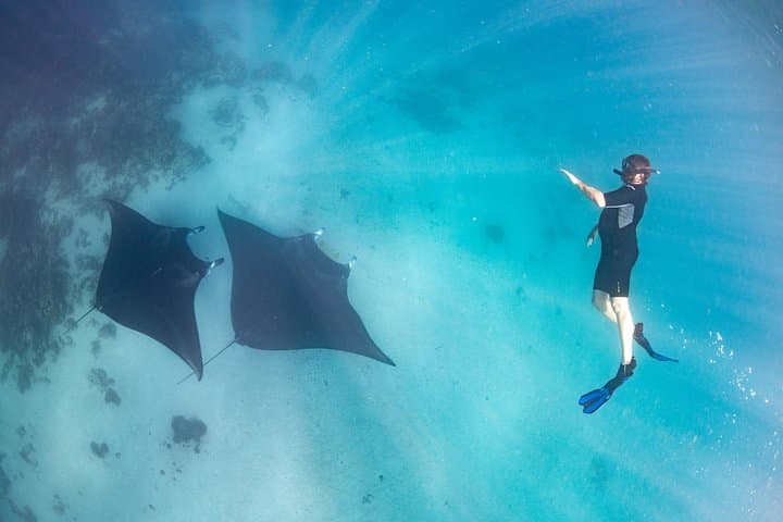 Marine Eco Safari: Swim with Manta Rays at Ningaloo Reef photo 2