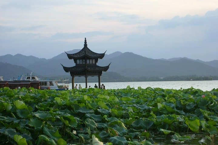 Customizable Full-Day Hangzhou Highlights — West Lake, Longjing Tea & Lingyin Temple photo 2