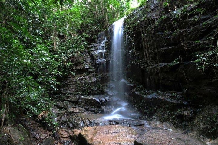 Two-Day Rio Hiking: Tijuca Forest Waterfalls & Two Brothers Viewpoint photo 2