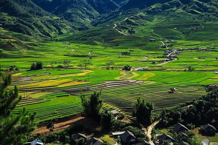 Sapa 3-Day Trek: Ta Van Homestay, Rice Terraces & Muong Hoa Valley photo 4