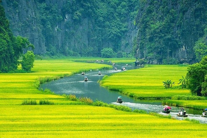 Hoa Lu and Tam Coc Day Trip from Hanoi by Limousine — Ancient Temples & River Caves photo 1