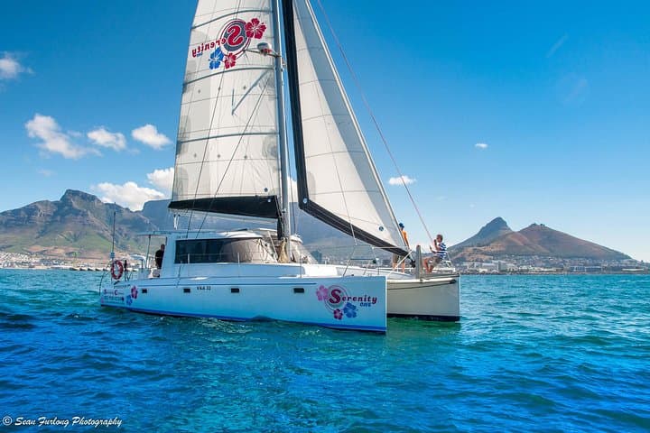 Pre-Sunset Champagne Cruise from Cape Town — V&A Waterfront One-Hour Sail