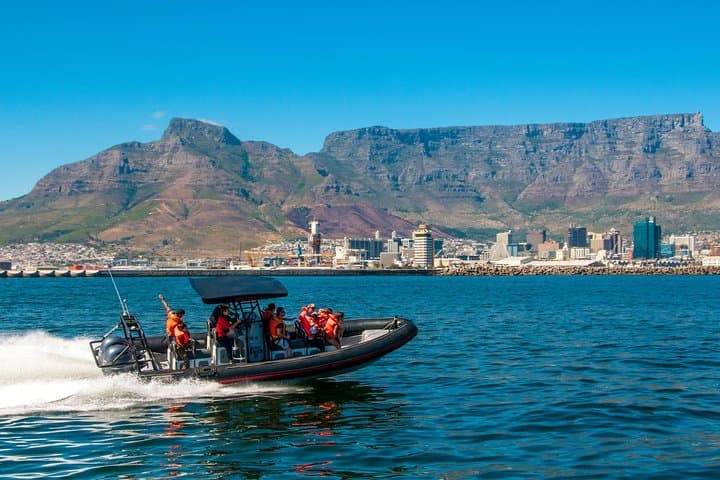 Ocean Safari: Cape Town RIB Wildlife Cruise from V&A Waterfront