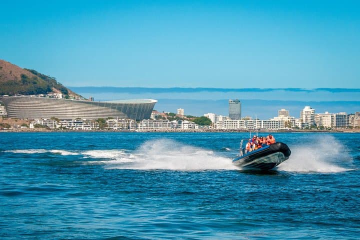Ocean Safari: Cape Town RIB Wildlife Cruise from V&A Waterfront photo 6