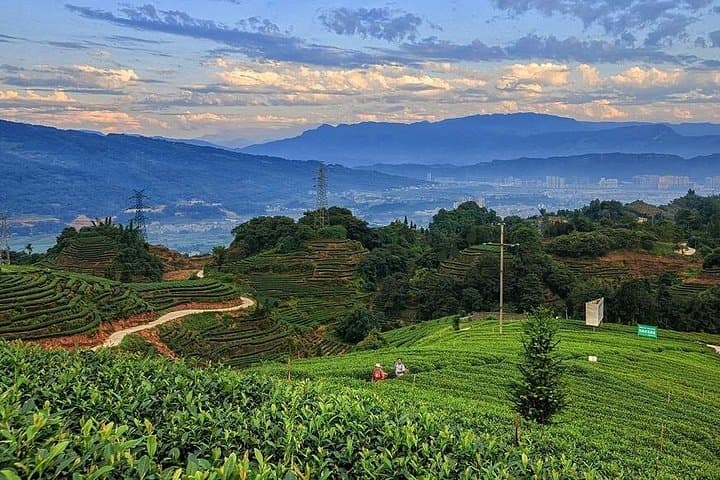 Day Trip to Hangzhou from Suzhou — Bullet Train, West Lake & Longjing Tea photo 1