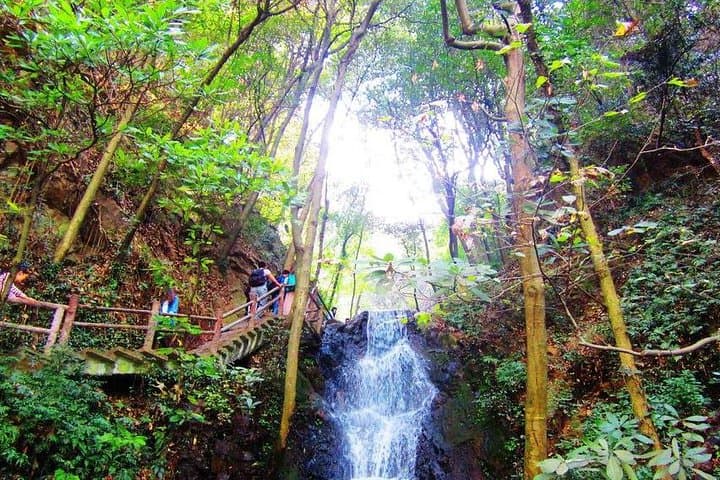 Hangzhou Nine Creeks Hike & Longjing Tea Tasting — Half-Day Tour photo 2