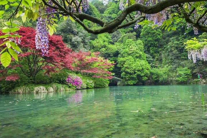 Hangzhou Nine Creeks Hike & Longjing Tea Tasting — Half-Day Tour photo 3