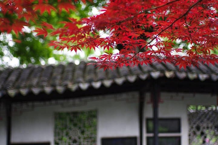 Explore Suzhou: Private Flexible Day Tour of Gardens, Canals and Temple Lunch photo 3