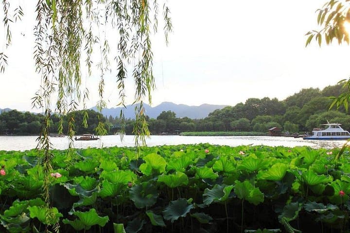 Hangzhou in a Day: West Lake, Longjing Tea and Lingyin Temple by Bullet Train photo 2