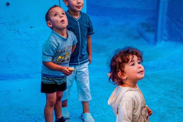 Chefchaouen Day Trip from Fez: Blue City Guided Tour with Skip-the-Line Access photo 2