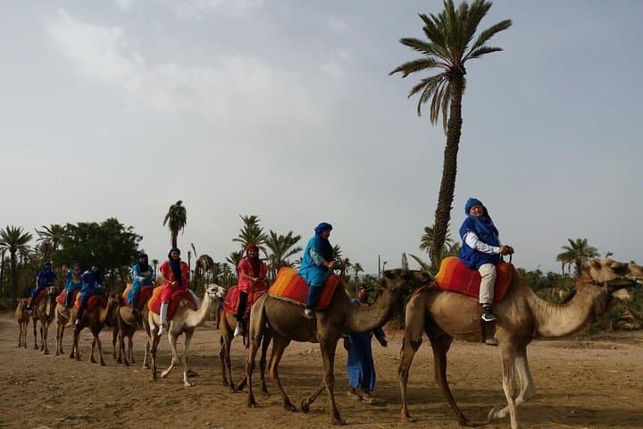 Palm-Grove Camel Ride & Quad Bike Tour from Marrakech
