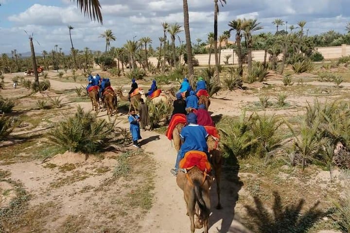 Palm-Grove Camel Ride & Quad Bike Tour from Marrakech photo 2