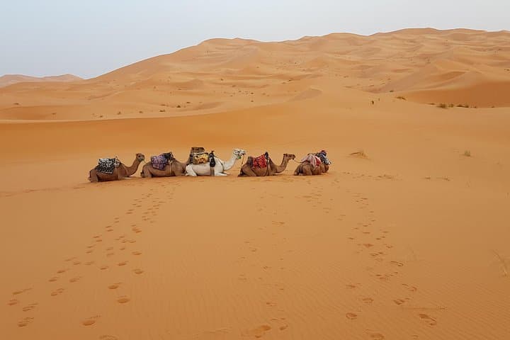 4-Day Sahara Desert Tour from Marrakech: Merzouga, Dades & Aït Ben Haddou photo 1