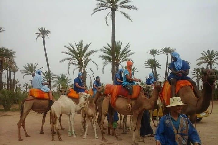 Palm Grove Camel Ride in Marrakech: Half-Day Tuareg Experience