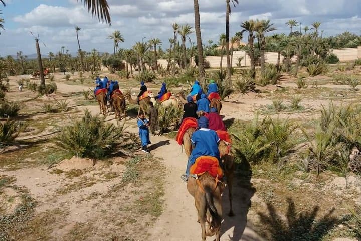 Palm Grove Camel Ride in Marrakech: Half-Day Tuareg Experience photo 2