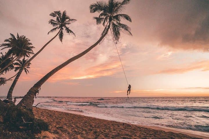 8-Day Private Sri Lanka Tour: Cultural Heritage, Hill Country & Wildlife