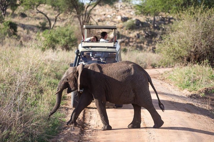 2-Day Luxury Tanzania Safari — Tarangire & Ngorongoro Crater Highlights photo 6