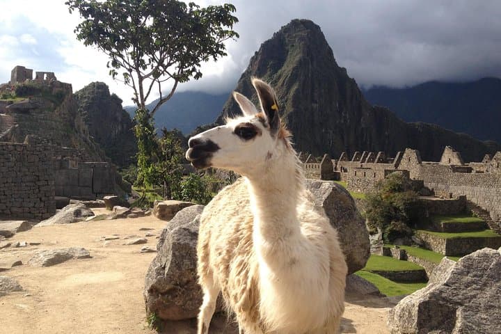 Sunrise Over Machu Picchu: 2-Day Sacred Valley Tour from Cusco