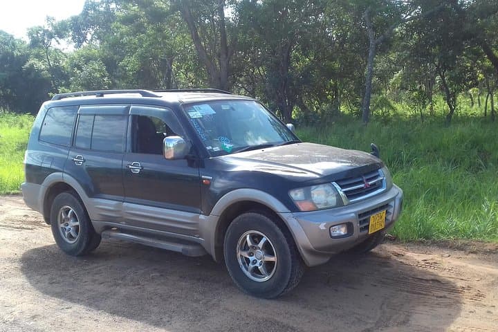 Hwange Safari Daytrip from Victoria Falls — Self-Drive 4x4 Wildlife Excursion photo 3