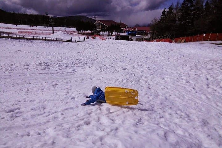 Mt. Fuji Strawberry Picking and Beginner Snow Day Trip from Tokyo photo 3