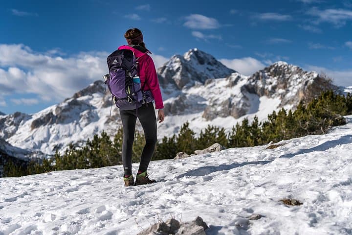 Winter Hike on Pokljuka Plateau — Julian Alps Summit Views & Traditional Mountain Lunch