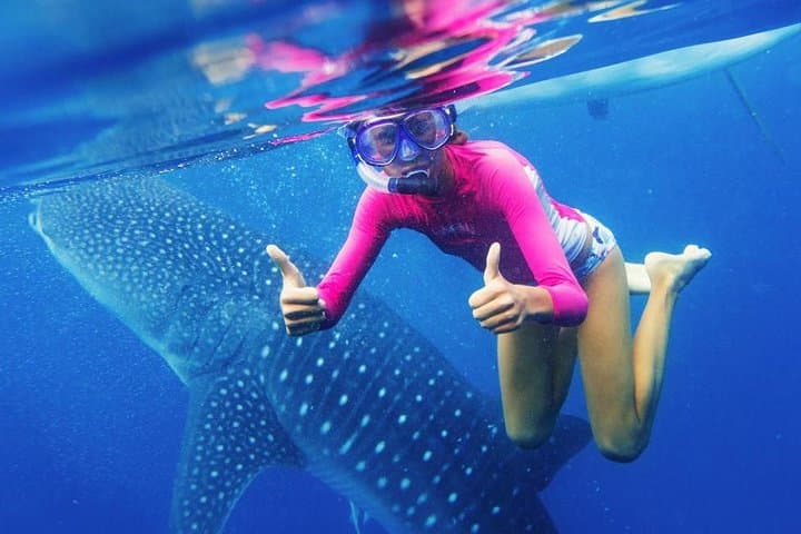 Oslob Whale Shark Swim and Kawasan Falls Canyoneering — Cebu Day Trip Guide photo 1