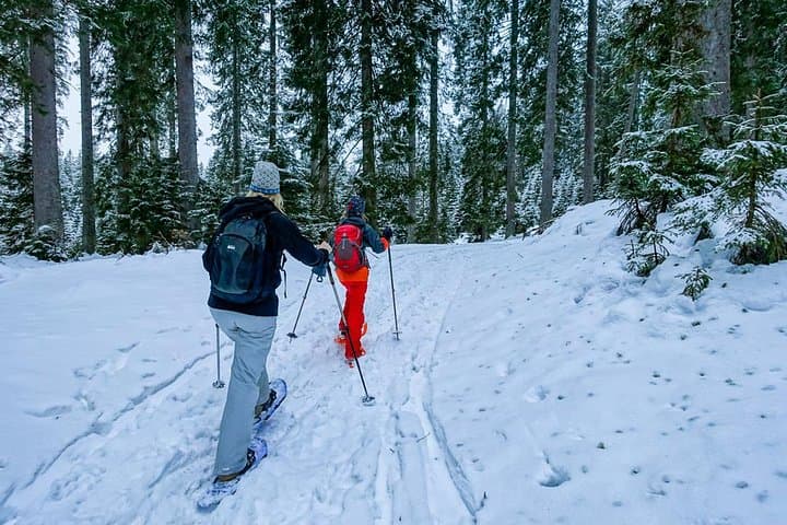 Snowshoeing in Triglav National Park: Winter Walks from Bled
