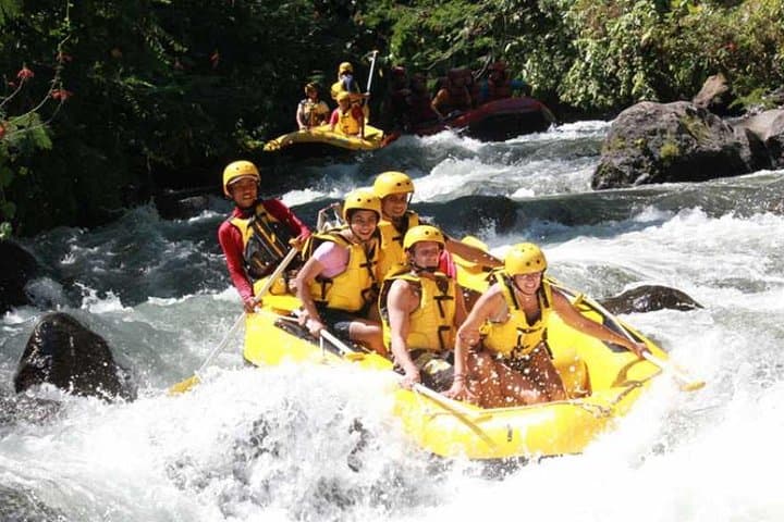 Ayung River Rafting and Jungle Swing Day Tour from Ubud photo 4