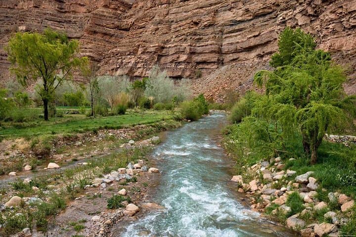 Fez to Middle Atlas Day Trip: Cedars, Barbary Apes & Ifrane’s Alpine Streets photo 3